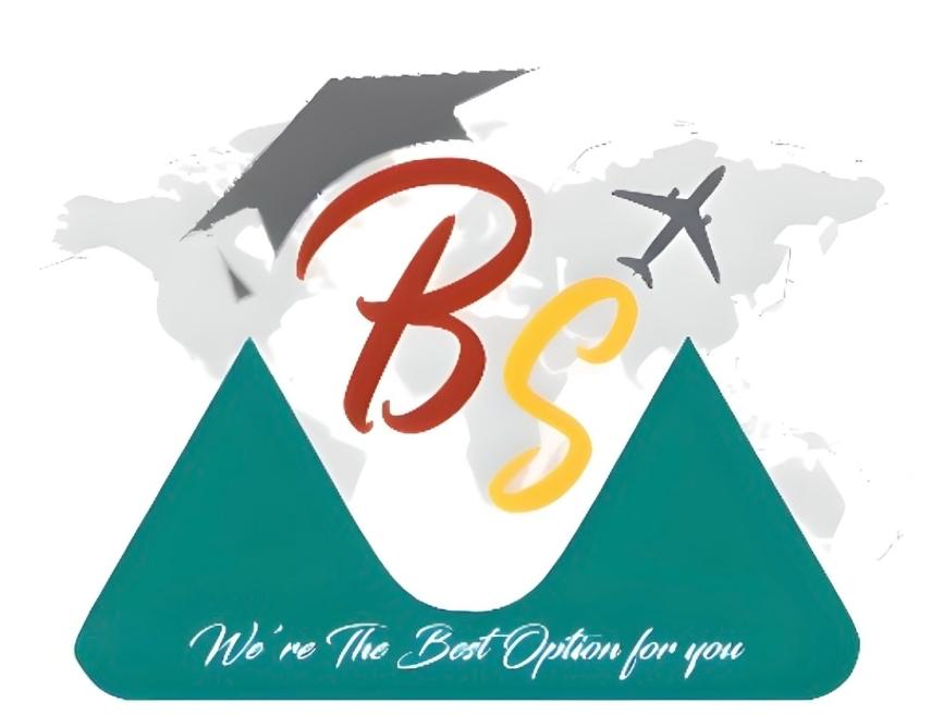 BS Education Consultancy